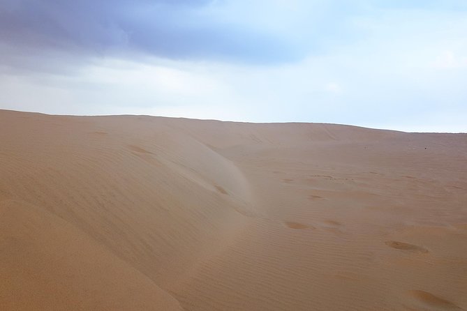 4 Days Tour In Doha | City Tour | North Tour | Desert Safari | West Tour - What the private format really adds