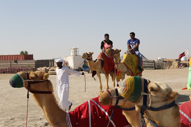 4 Hour Desert Safari, Camel Ride & Inland Sea Beach - Why this four-hour desert trip works well from Doha
