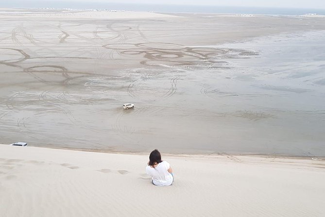 4 Hour Desert Safari, Camel Ride & Inland Sea Beach - Camel ride and falcon photos at the first stop