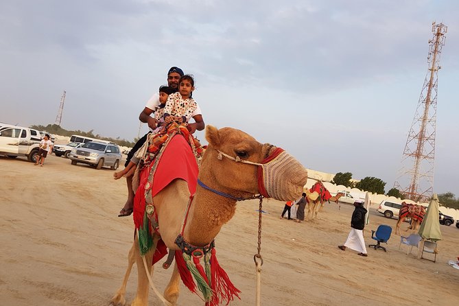 4 Hour Desert Safari, Camel Ride & Inland Sea Beach - The Inland Sea, where sand meets water