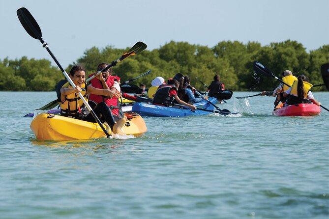4 Hours Purple Island Mangroves Kayaking Adventure in Qatar - Key points to know before you book