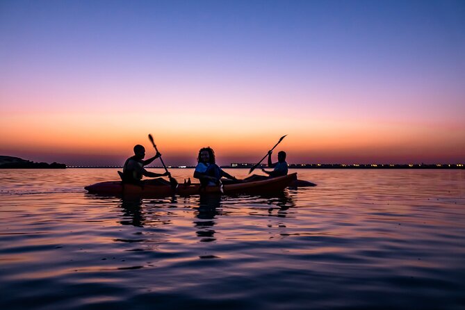 4 Hours Purple Island Mangroves Kayaking Adventure in Qatar - A four to five hour outing from Doha