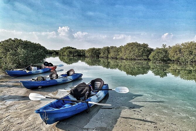 4 Hours Purple Island Mangroves Kayaking Adventure in Qatar - What $120 per person buys you