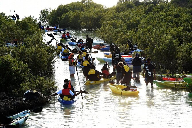 4 Hours Purple Island Mangroves Kayaking Adventure in Qatar - Weather, tides, and what to bring