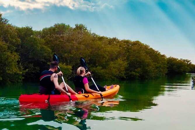 4 Hours Purple Island Mangroves Kayaking Adventure in Qatar - Who will enjoy this private kayaking trip