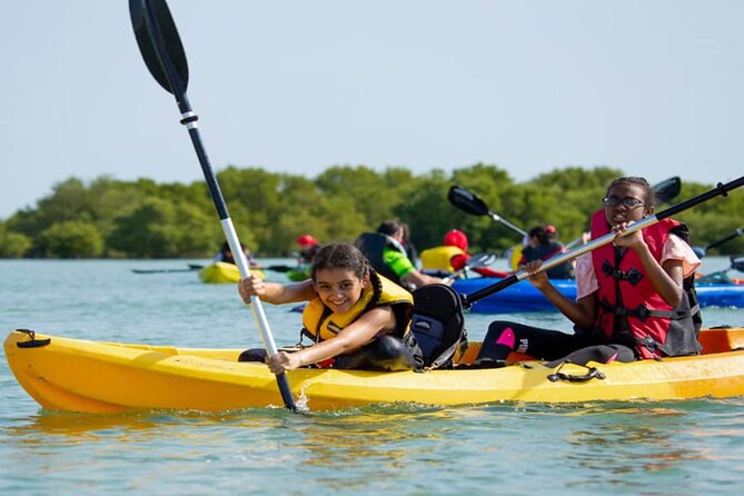 4 Hours Purple Island Mangroves Kayaking Adventure in Qatar - A clear look at the drawbacks
