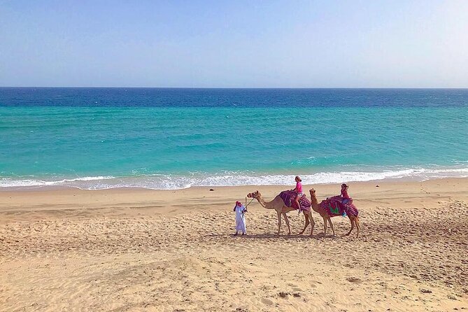 4hr Desert Safari: Sunset,Sunrise,Camel,Sand boarding,Inland Sea - From Doha to the open sand at Sealine