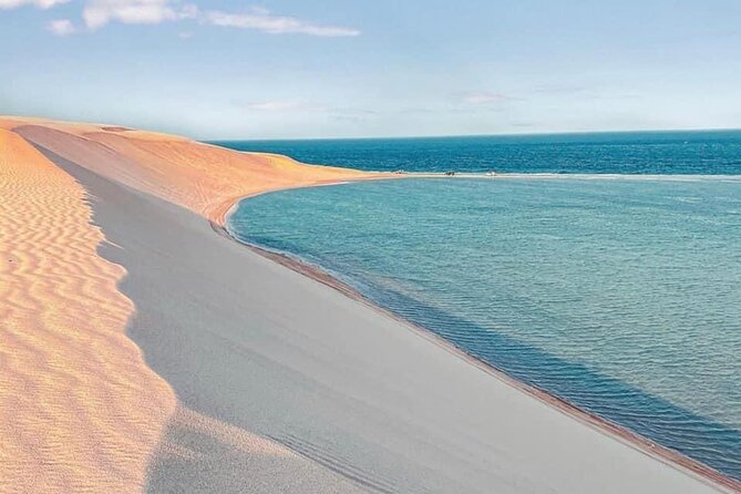 4hr Desert Safari: Sunset,Sunrise,Camel,Sand boarding,Inland Sea - Sand boarding from the highest dunes