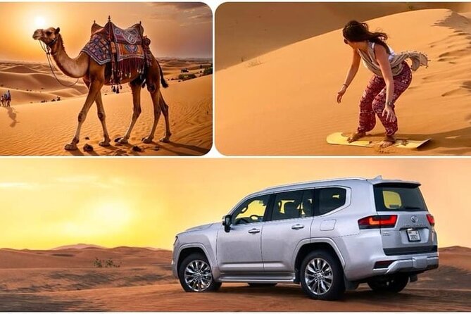 Camel Safari in Desert with Pickup and Drop off in Doha - What your Doha pickup means in practice