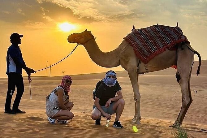 Camel Safari in Desert with Pickup and Drop off in Doha - Falcon photographs and the desert beach