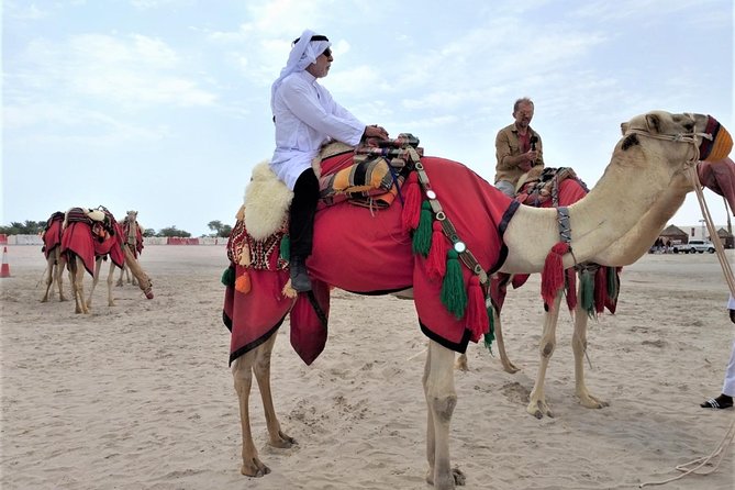 Combo Culture & Adventure: North Qatar Heritage & Desert Safari - Al Khor: creek, corniche, and working waterfront
