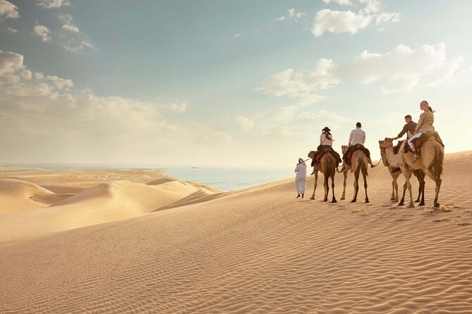 Combo Doha City and Desert Safari Tour Qatar - Four hours in the Qatar desert