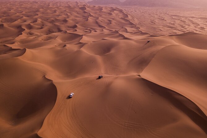 Combo Doha City Tour and Desert Safari - Trading pavement for sand at Sealine Beach