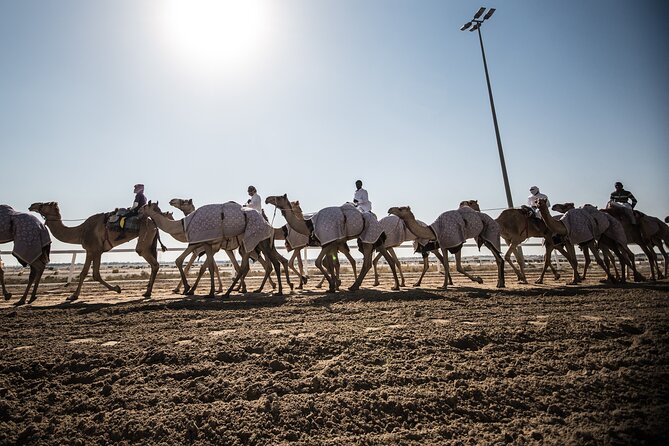 Combo West and North of Qatar Tour - Ash-Shahaniyah and traditional Qatari culture