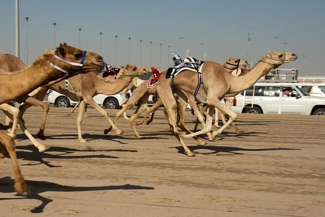 Combo West and North of Qatar Tour - Zekreet Fort Ruins and the west coast