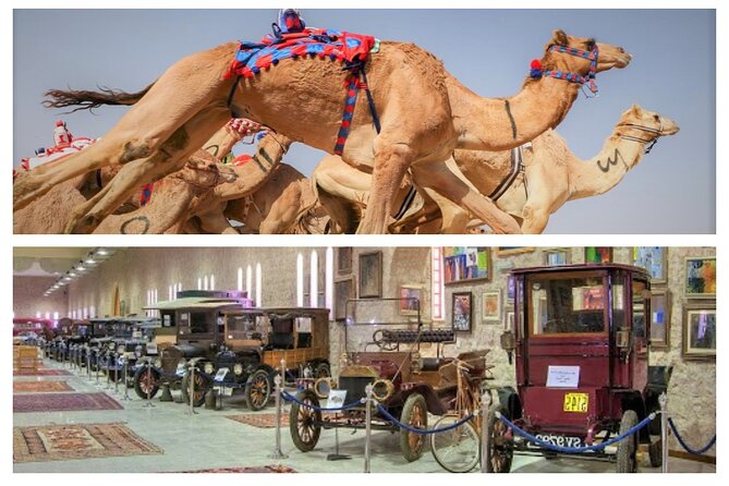 Cultural & Thrills: Sheikh Faisal Museum & Camel Race Adventure - Why this Doha half-day trip feels different
