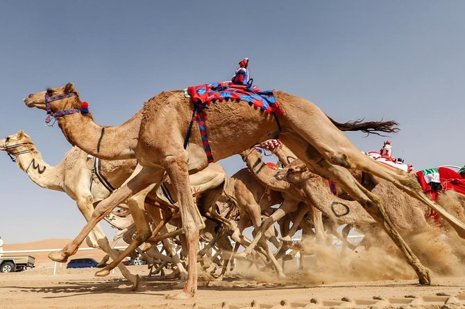 Cultural & Thrills: Sheikh Faisal Museum & Camel Race Adventure - Sheikh Faisal Museum: three buildings and 15 rooms