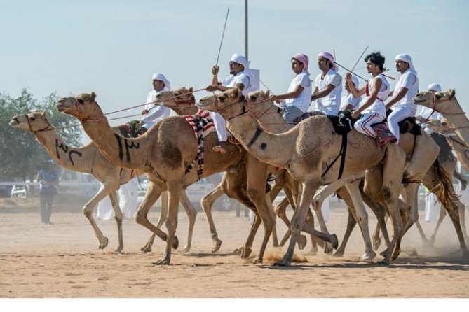 Cultural & Thrills: Sheikh Faisal Museum & Camel Race Adventure - Who should book this experience?