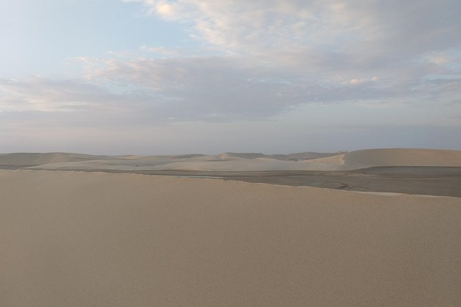 Desert Combo safari, Camel ride, Quad Bike and Dune Bashing(ALL INCLUSIVE) - Quad biking gives you the most hands-on time