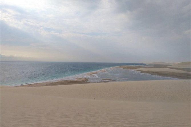 Desert Combo safari, Camel ride, Quad Bike and Dune Bashing(ALL INCLUSIVE) - Sealine Beach and the Inland Sea add more than scenery