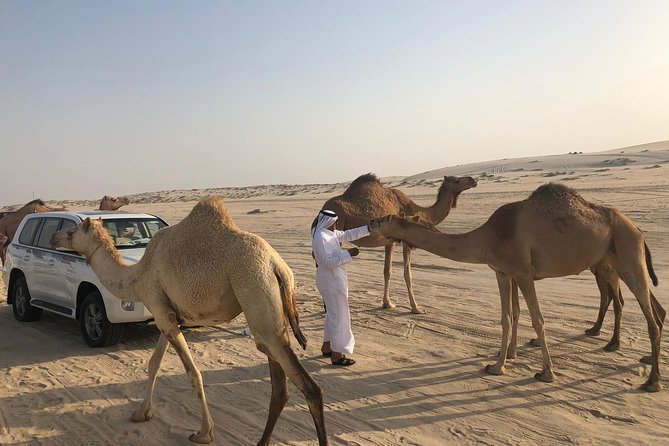 Desert Safari 7 Hours Tour with Dinner and Camp - Optional camel rides, quad bikes, falcons, and sandboarding