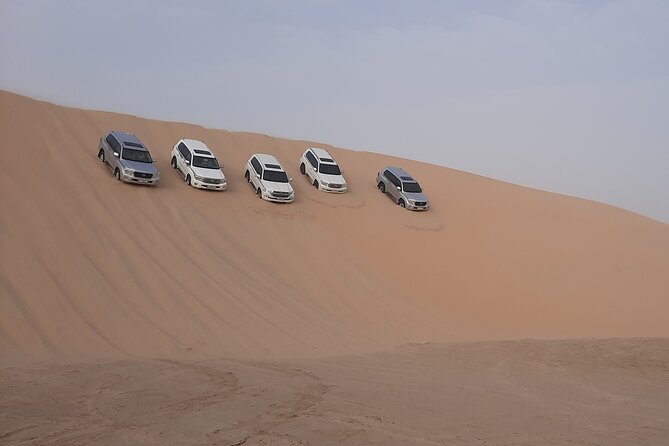 Desert Safari and Inland Sea(Private Tour) - Who will enjoy this four-hour desert trip