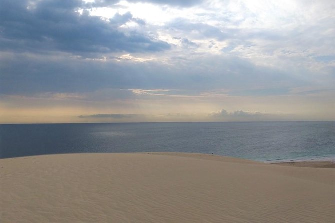 Desert safari, Dune bashing, sandboarding, camel, ATV Option - From Doha to the open sand