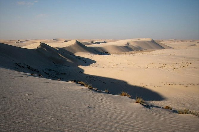 Desert safari, Dune bashing, sandboarding, camel, ATV Option - Khor Al Adaid and the Inland Sea