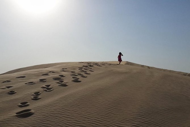 Desert safari, Dune bashing, sandboarding, camel, ATV Option - Returning to Doha after about four and a half hours