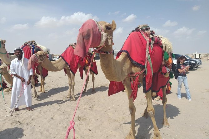 Desert safari, Dune bashing, sandboarding, camel, ATV Option - What the $46.55 price really buys