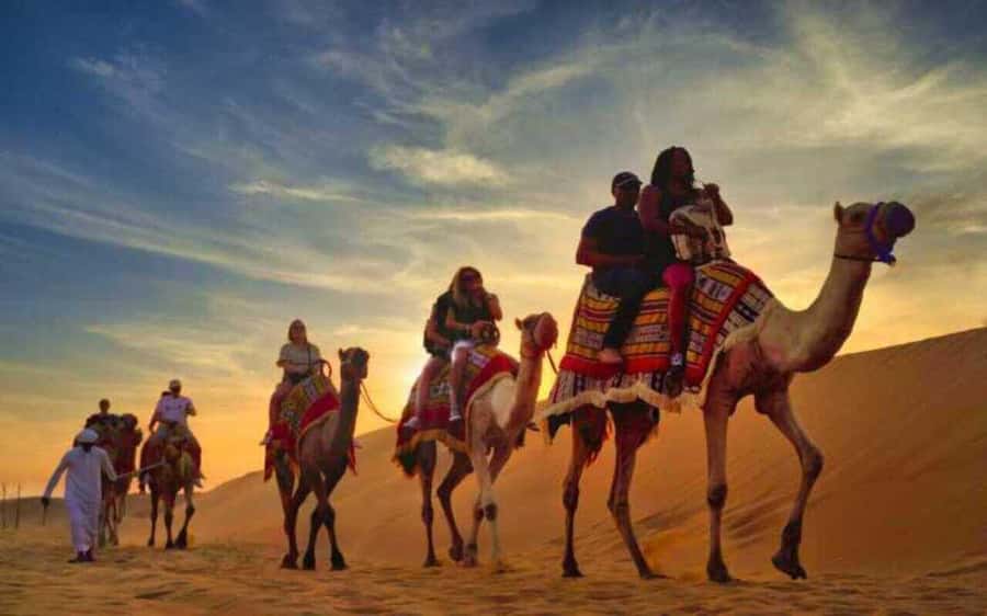 Desert Safari, Dunes Ride, Sand Boarding & Inland Sea Tour - Sealine Beach Resort: the gentle start
