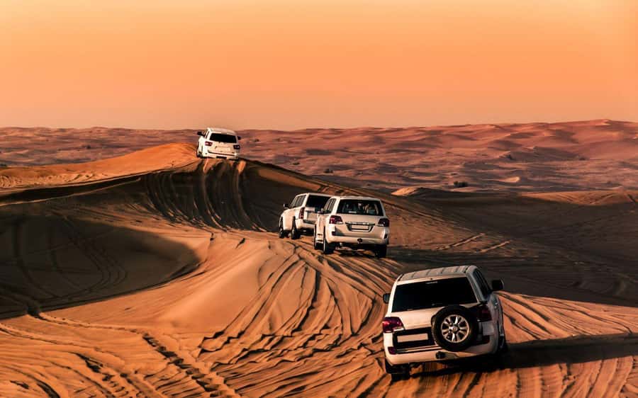 Desert Safari, Dunes Ride, Sand Boarding & Inland Sea Tour - What the $20 price really covers