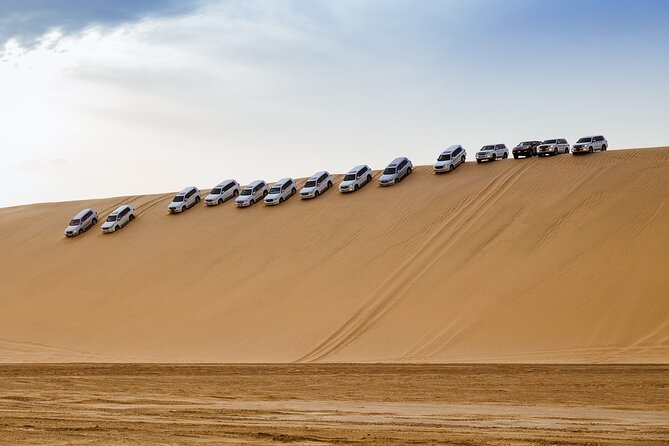 Desert Safari | Inland Sea | Half Day | Qatar | Doha - Who should book this safari?