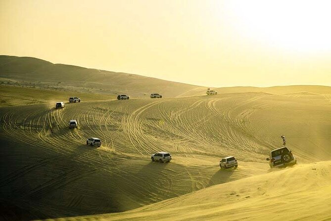 Desert safari Inland Sea Private Tour - Private touring and the guide experience