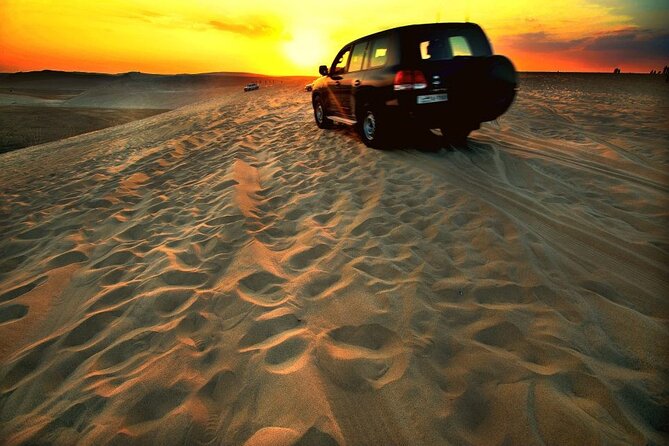 Desert Safari – Morning, Afternoon, Sunrise & Sunset Options - Why this desert trip belongs on a Doha schedule