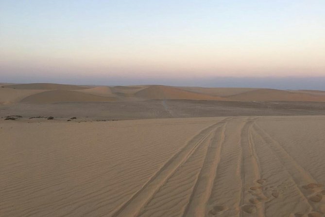 Desert Safari – Morning, Afternoon, Sunrise & Sunset Options - Camel camp, photos, and a brief traditional touch