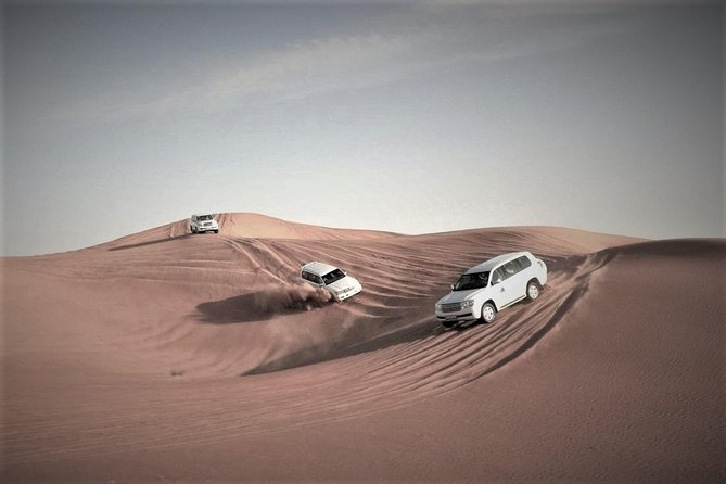 Desert Safari – Morning, Afternoon, Sunrise & Sunset Options - Sealine Beach and the switch to sand driving