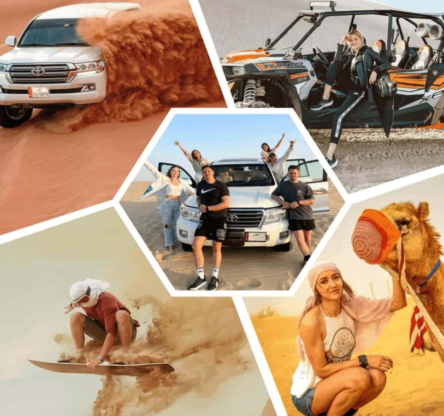 Desert Safari, Quad Bike, Camel Ride, Falcon & Sandboarding - Key points at a glance