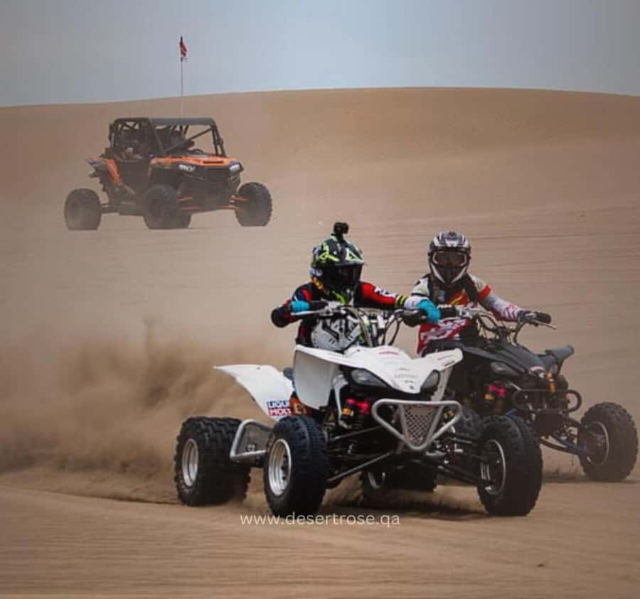 Desert Safari, Quad Bike, Camel Ride, Falcon & Sandboarding - A short camel stop and falcon photograph