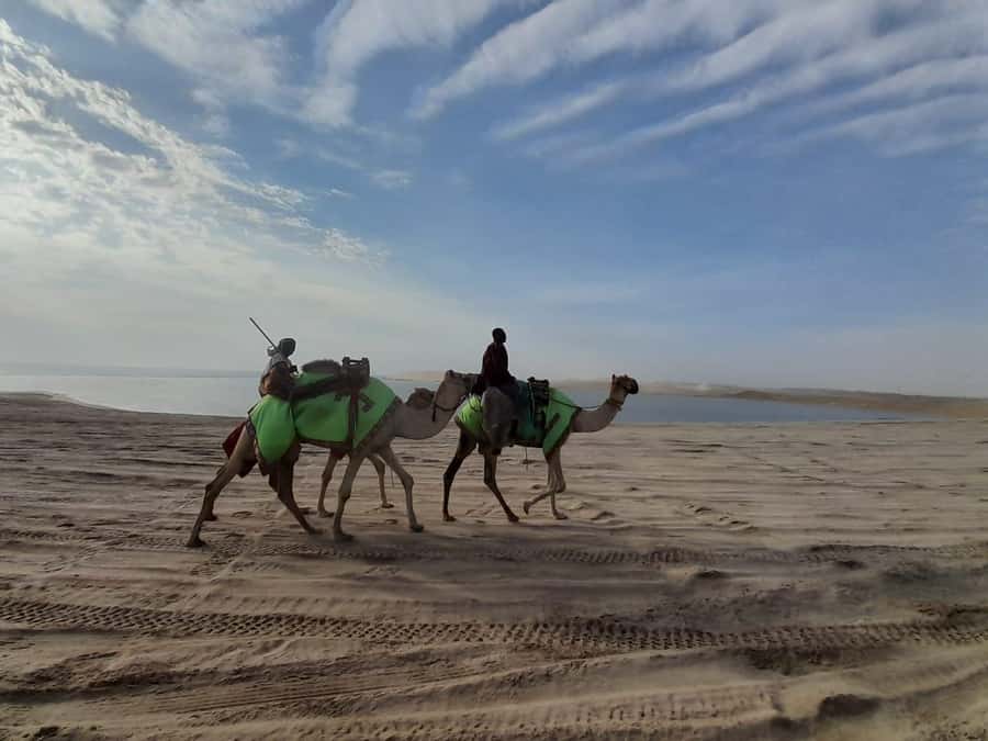 Desert Safari, Quad Bike, Camel Ride, Falcon & Sandboarding - Khor Al Udeid, Qatar’s Inland Sea