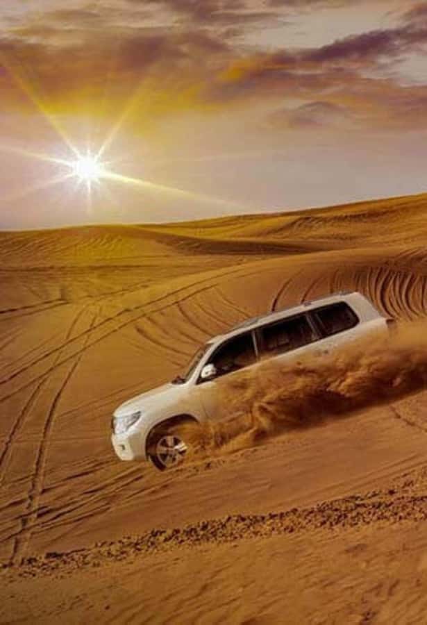 Desert Safari, Quad Bike, Camel Ride, Falcon & Sandboarding - Who should book this desert safari?