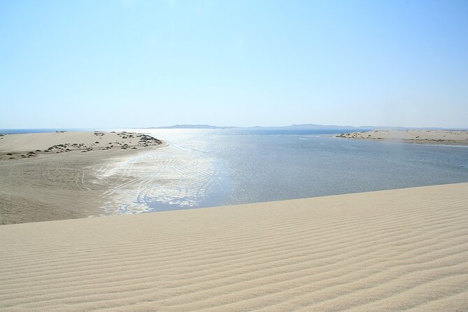 Desert Safari, Quad Bike, Sandboarding and Camel Ride - Dune bashing in a 4x4
