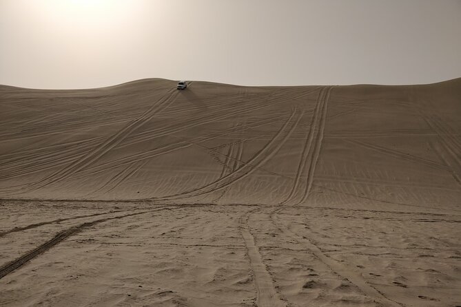 Desert Safari, Quad Bike, Sandboarding and Camel Ride - Khor Al Udaid and the Inland Sea