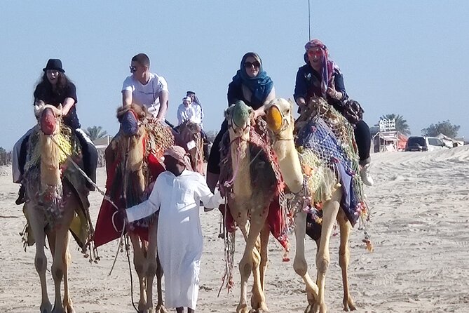 Desert Safari, Quad Bike, Sandboarding and Camel Ride - Who should book this desert safari