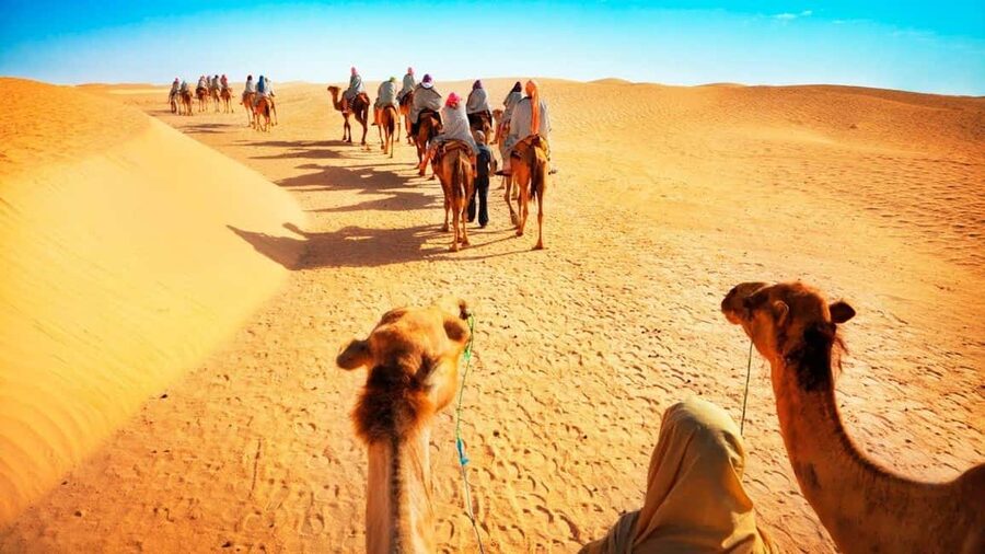 Desert Safari, QuadBike,Dune buggy, Sandboarding & CamelRide - Camel riding: a short taste of desert tradition