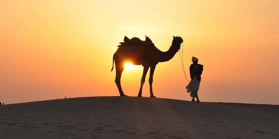 Desert Safari, QuadBike,Dune buggy, Sandboarding & CamelRide - Who will enjoy this desert day