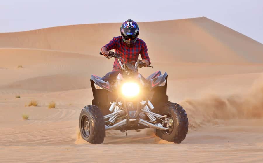 Desert Safari Self-Drive Quad Bike OR Dune Buggy Experience - Sealine Beach, camels, and a falcon photograph