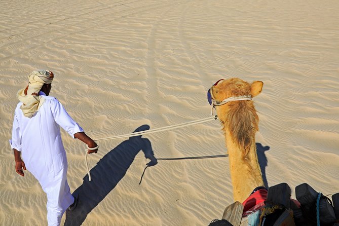 Desert Safari with Camel Ride, Sand Boarding & Inland Sea Tour in Doha - Who Will Enjoy This Desert Safari