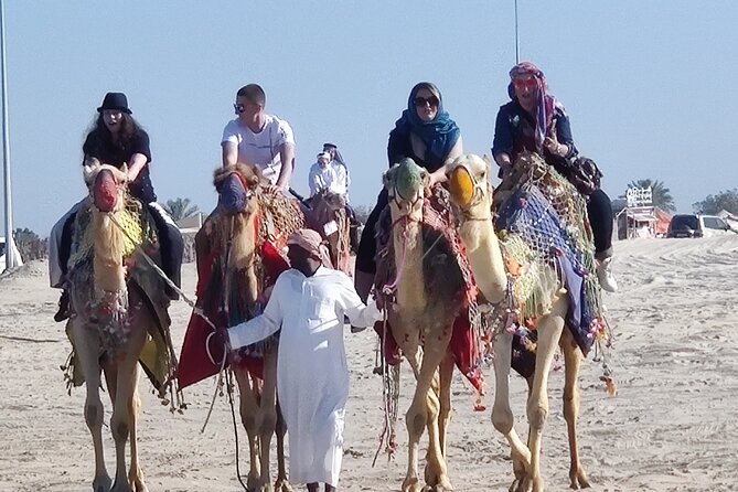 Desert Safari with Sandboarding and Inland Sea Private Tour - Key points to know before booking