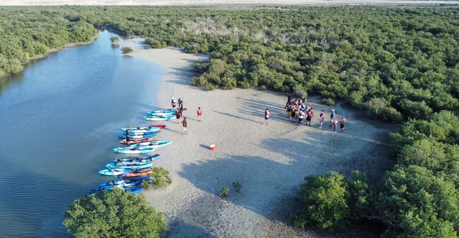 Discover Purple Island | Guided Mangrove Kayaking Experience - What the $65 price covers